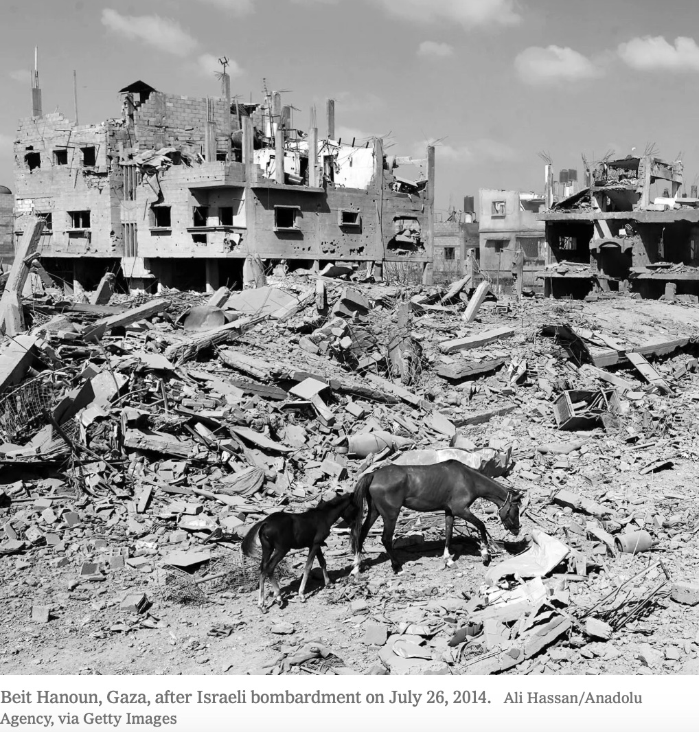 Gaza Beit Hanoun 2014