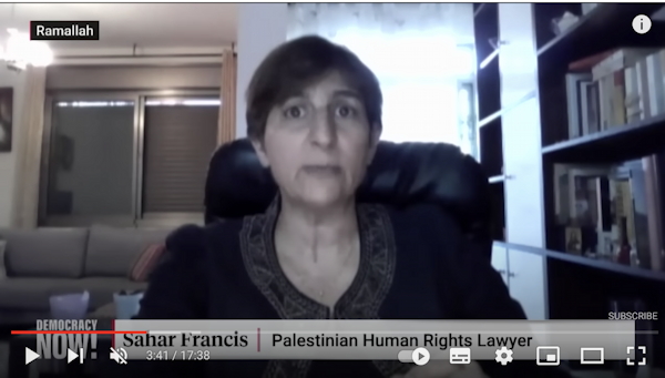 Palestinian NGOs Speak Out